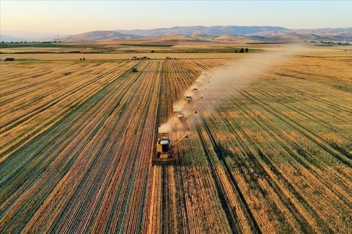 Destekleme ödemesi ne zaman hesaplarda olacak? Bakan Yumaklı açıkladı