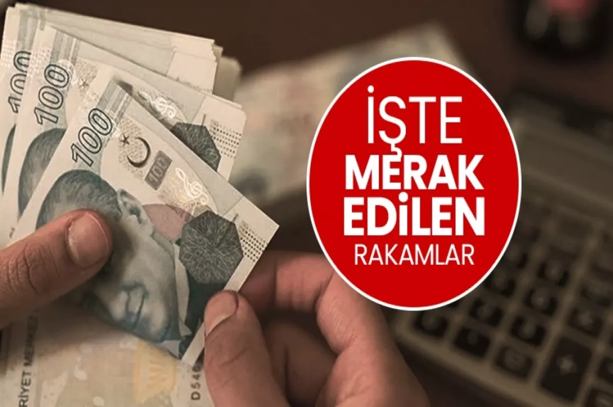 EMEKLİYE ZAM OCAK 2025 SON DAKİKA: 2'li veri o rakamı işaret etti!