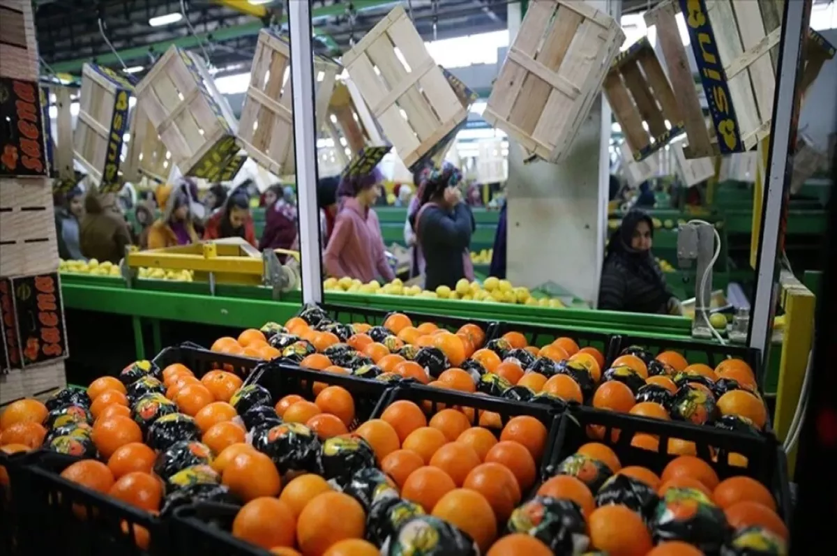 Tarımdan ihracatta ilk çeyrek rekoru