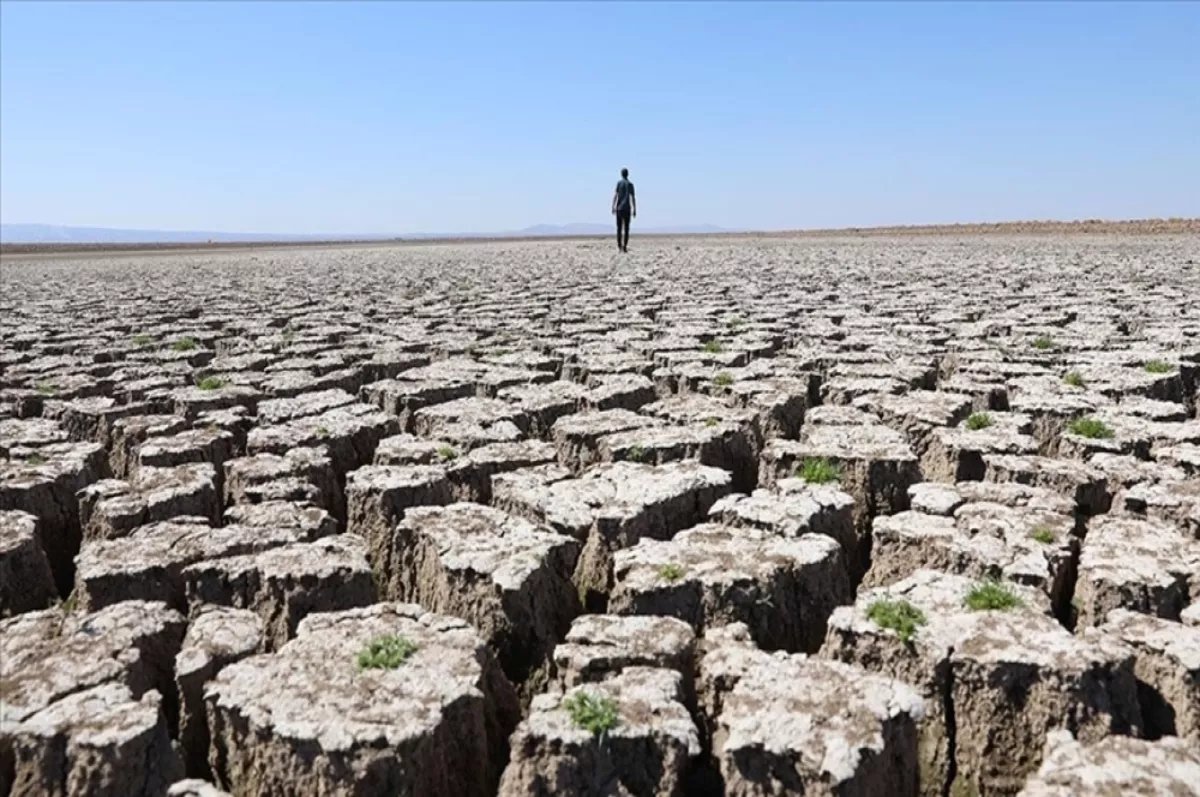 İklim değişikliği Suriye, Irak ve İran'da kuraklığı "şiddetli" hale getirdi