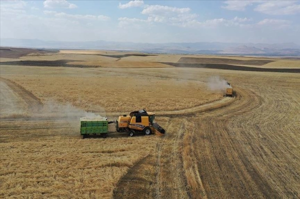 Çiftçilere 47.2 milyon liralık tarımsal destekleme ödemesi bugün yapılacak