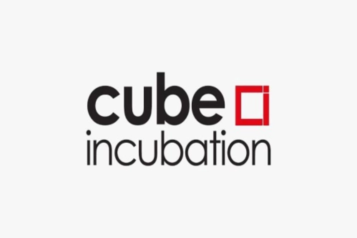 Cube Incubation, mentorluk programını global ölçeğe taşıyor