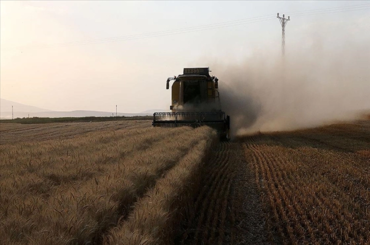 Tarımsal destekleme ödemesi çitçilerin hesaplarına bugün yatırılacak