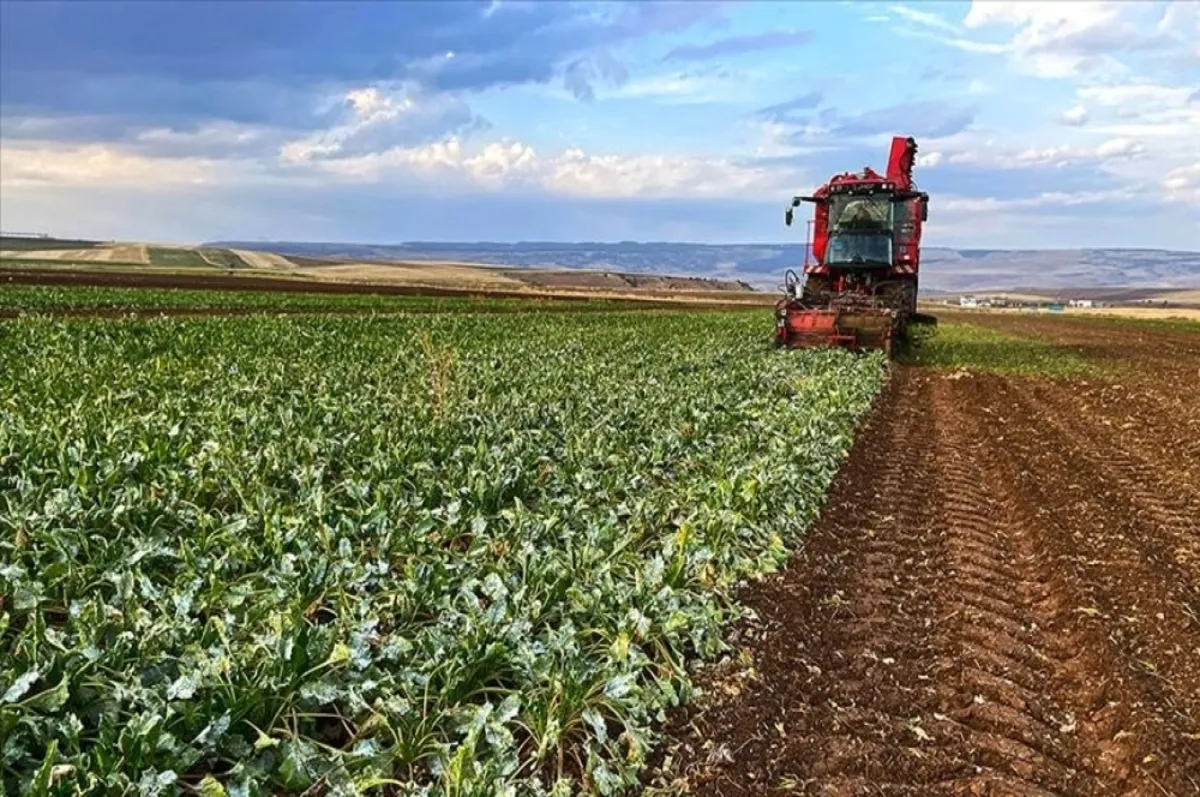 Tarımsal destek ödemesi için kritik tarih belli oldu!