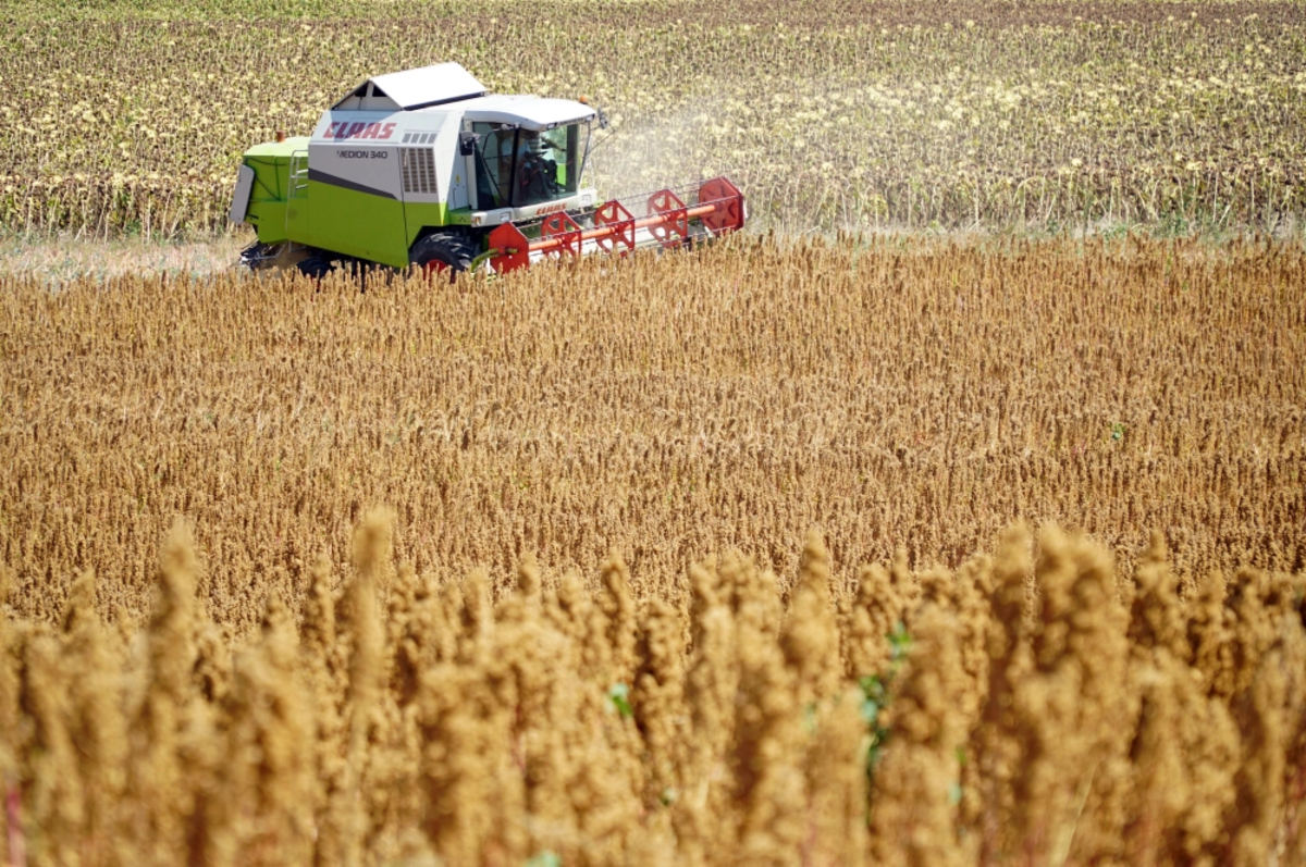 Tarımsal girdi fiyat endeksi aylık bazda yüzde 0.93, yıllık yüzde 47.56 arttı