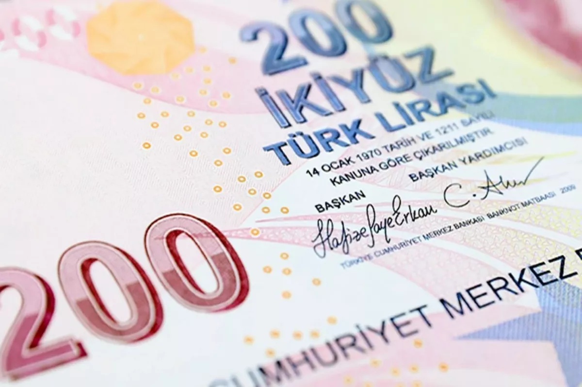 E9 Emisyon Grubu VII. tertip 200 TL banknotlar tedavüle verildi