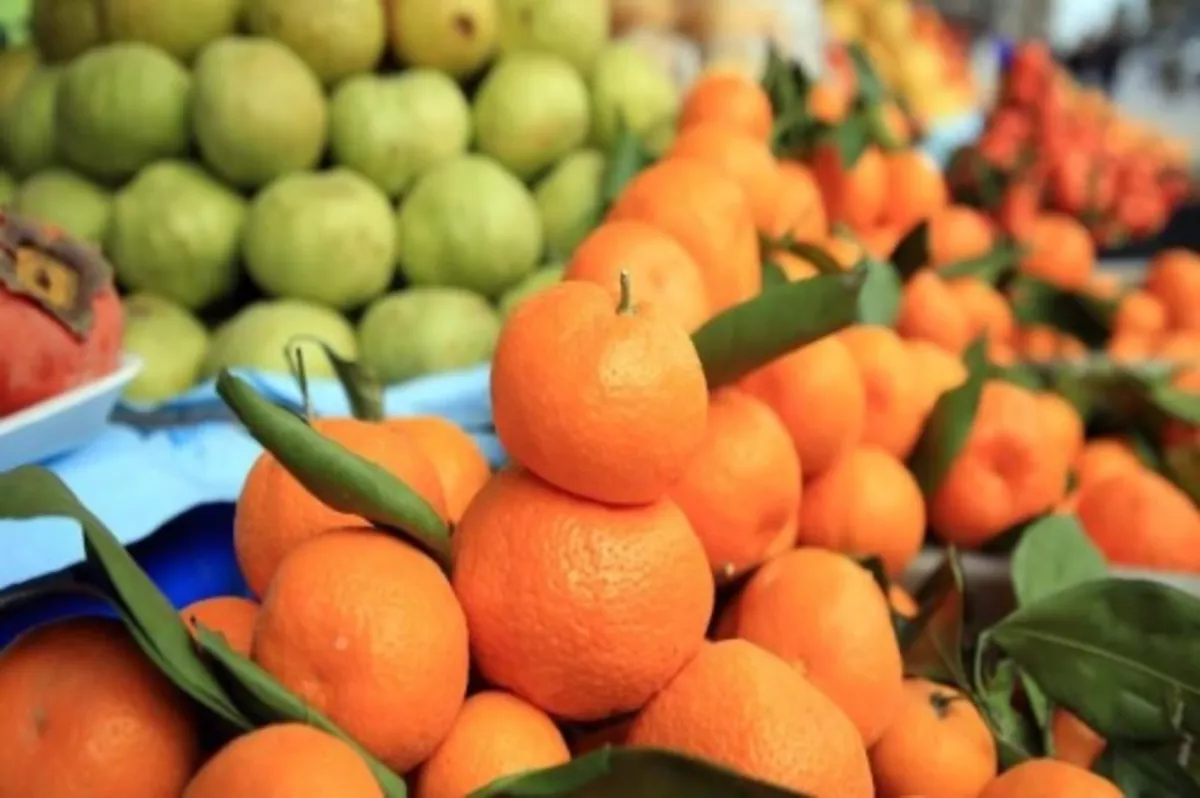 Narenciye ihracatçısının gözdesi mandalina 3 yılda 1,2 milyar dolar getirdi