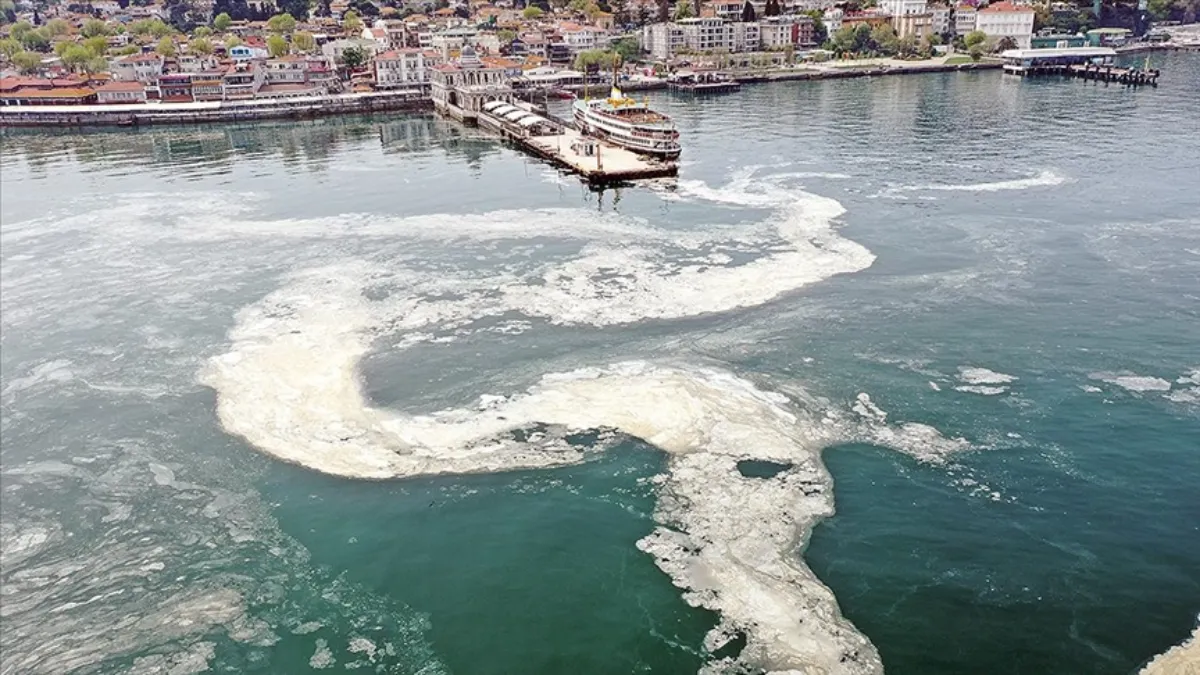 Marmara Denizi'ndeki müsilajın nedeni Nilüfer Çayı çıktı