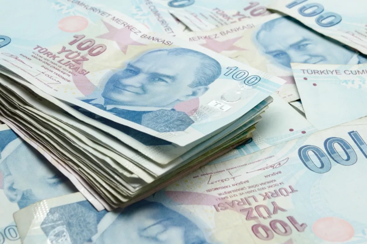 Hazine düzenlediği iki tahvil ihalesinde 31.9 milyar lira borçlandı