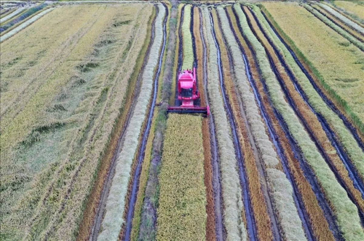 29.1 milyon liralık tarımsal destekleme ödemesi bugün yatırılacak