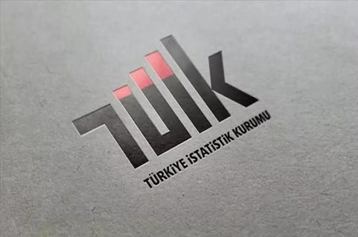 TÜİK, "grid" detayında nüfus istatistiklerini paylaşıma açtı