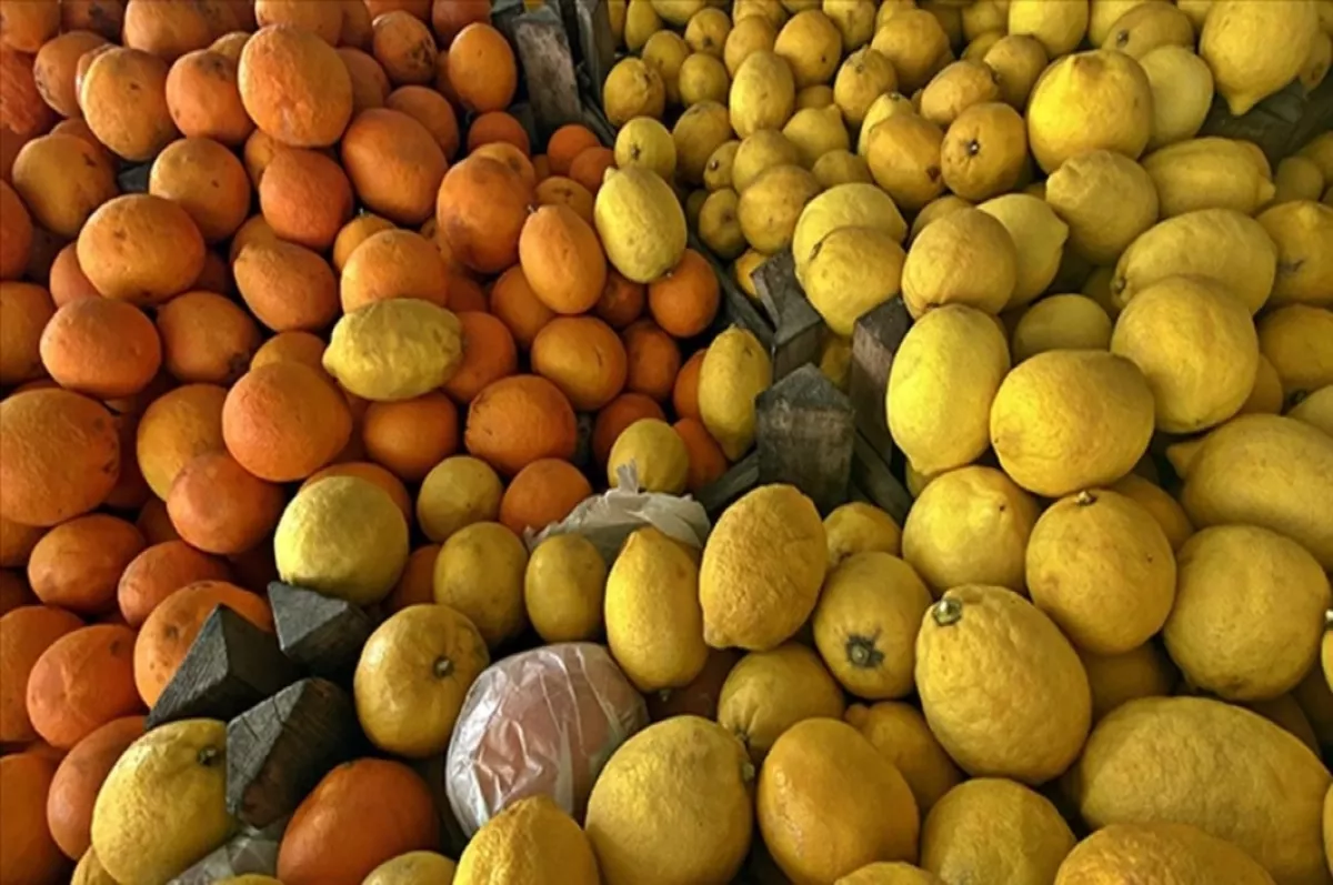 Narenciye ihracatında yılın ilk çeyreğini mandalina ve limon sırtladı