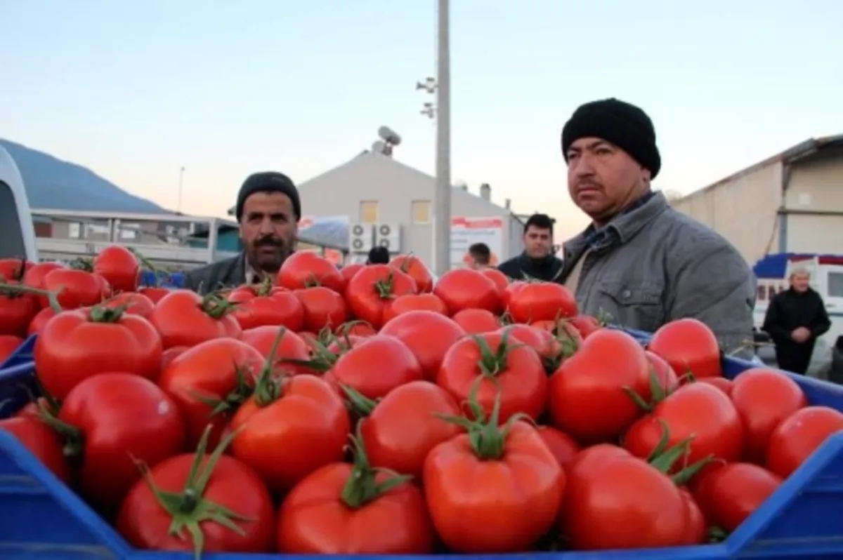 İthal edilecek bazı tarım ve gıda ürünlerinin kayda alınmasına ilişkin esaslar düzenlendi