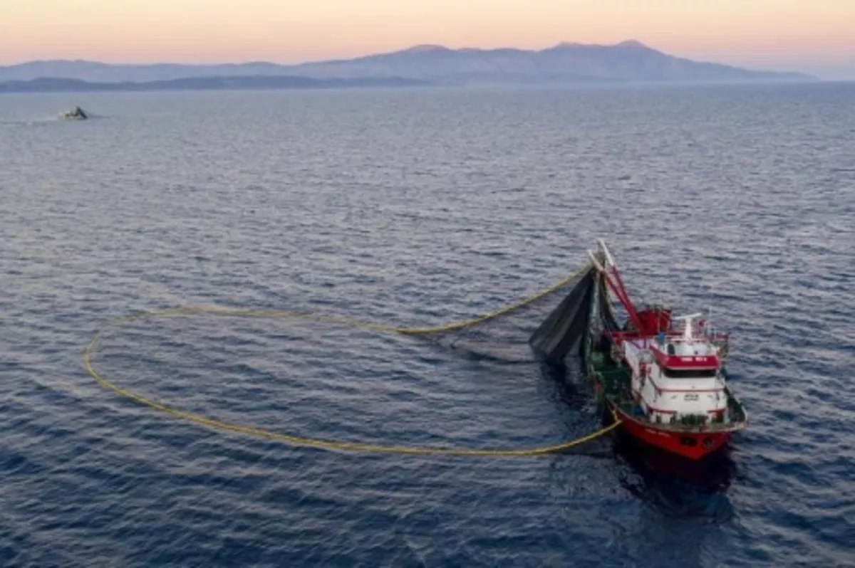 Marmara’da dökme avcılık yasaklandı