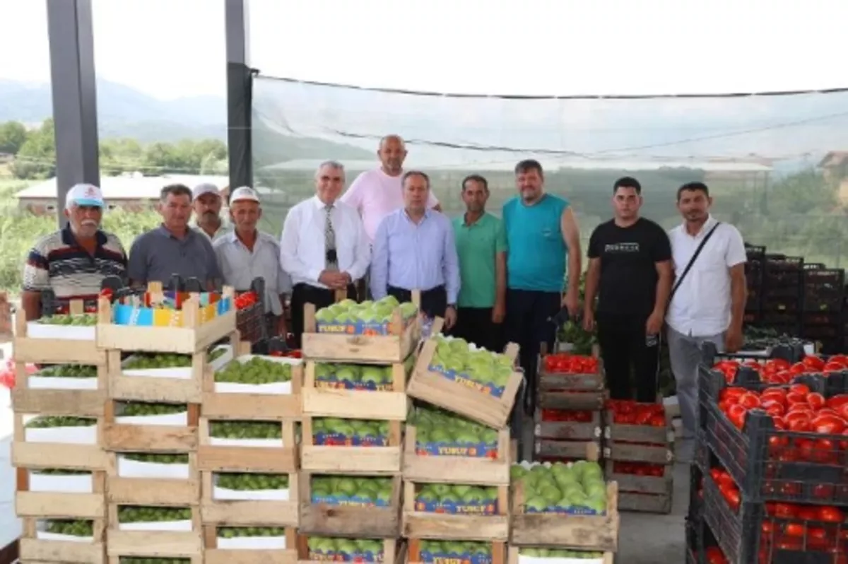 Geyve Safibey Ürün Toplama Merkezi üreticiyle tüketiciyi buluşturuyor