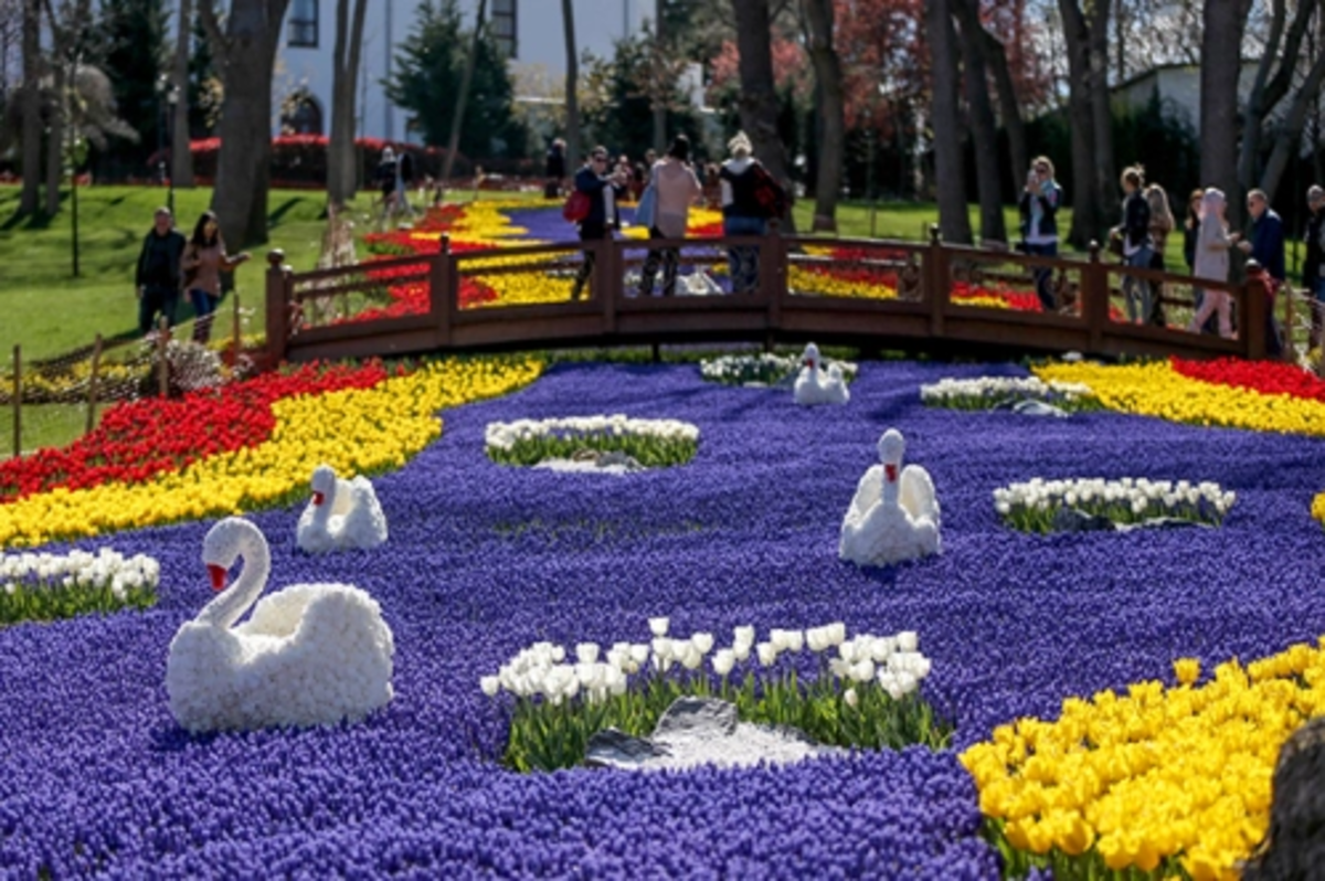 İstanbul’da lale zamanı