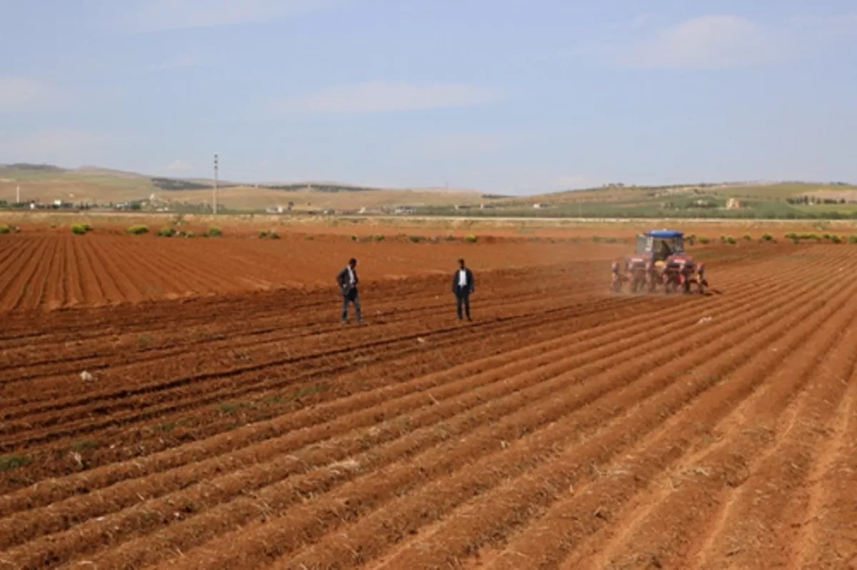 Avrupa’dan gelip kırsal alana yatırım yapıyorlar