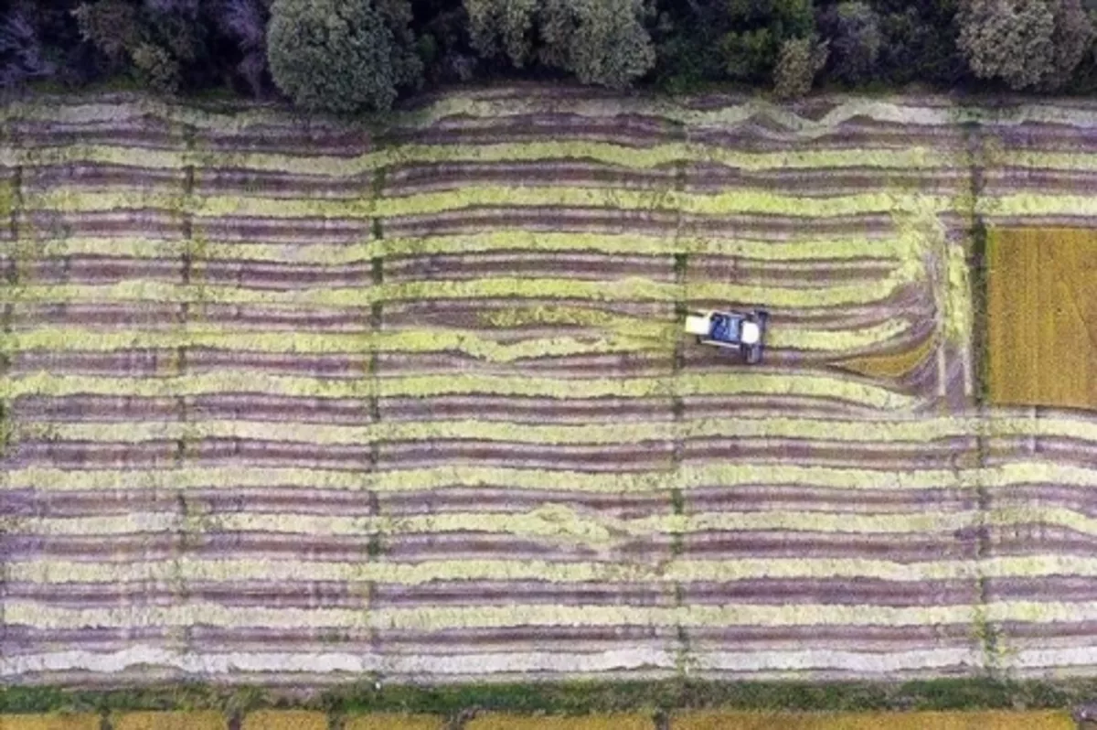 Tarım; projeler, yatırımlar ve desteklerle büyümeye devam ediyor