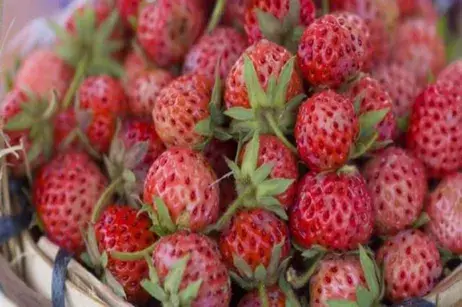 Ito Haber Gündem Haberleri