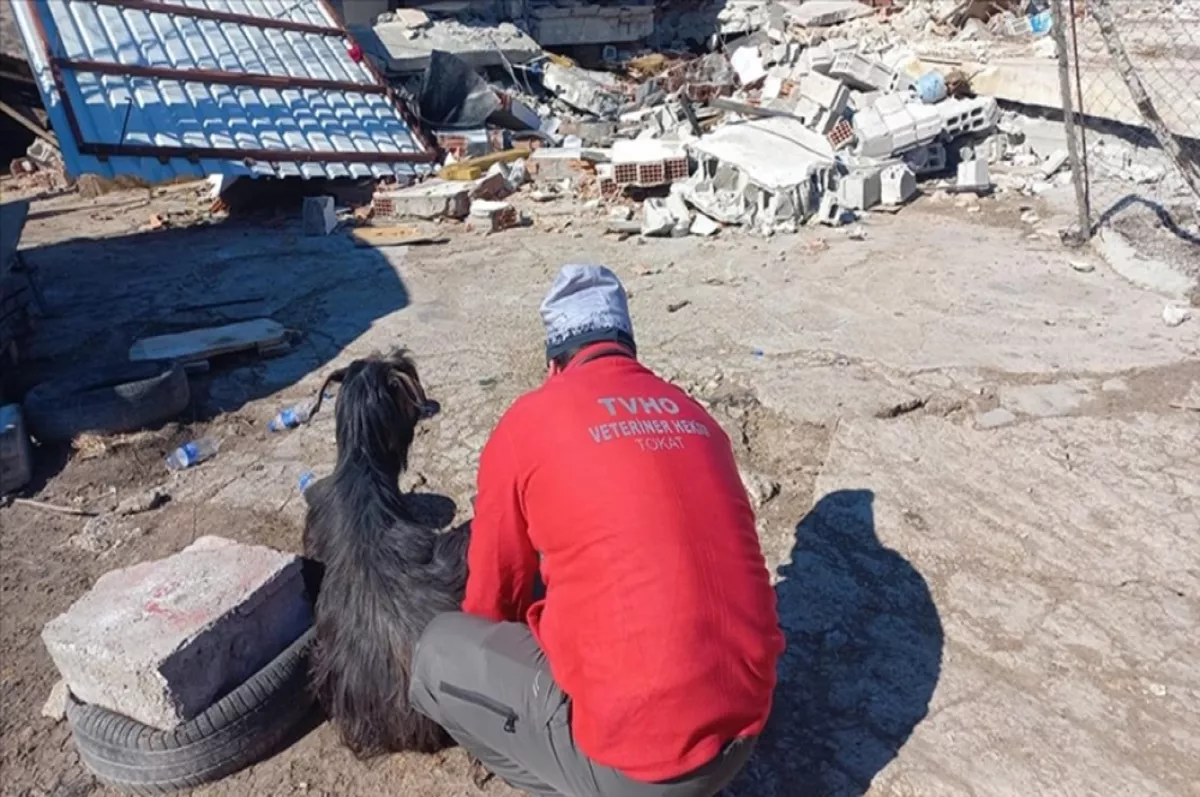 Tarım ve Orman Bakanlığının bazı mal ve hizmetleri ücretsiz verilecek