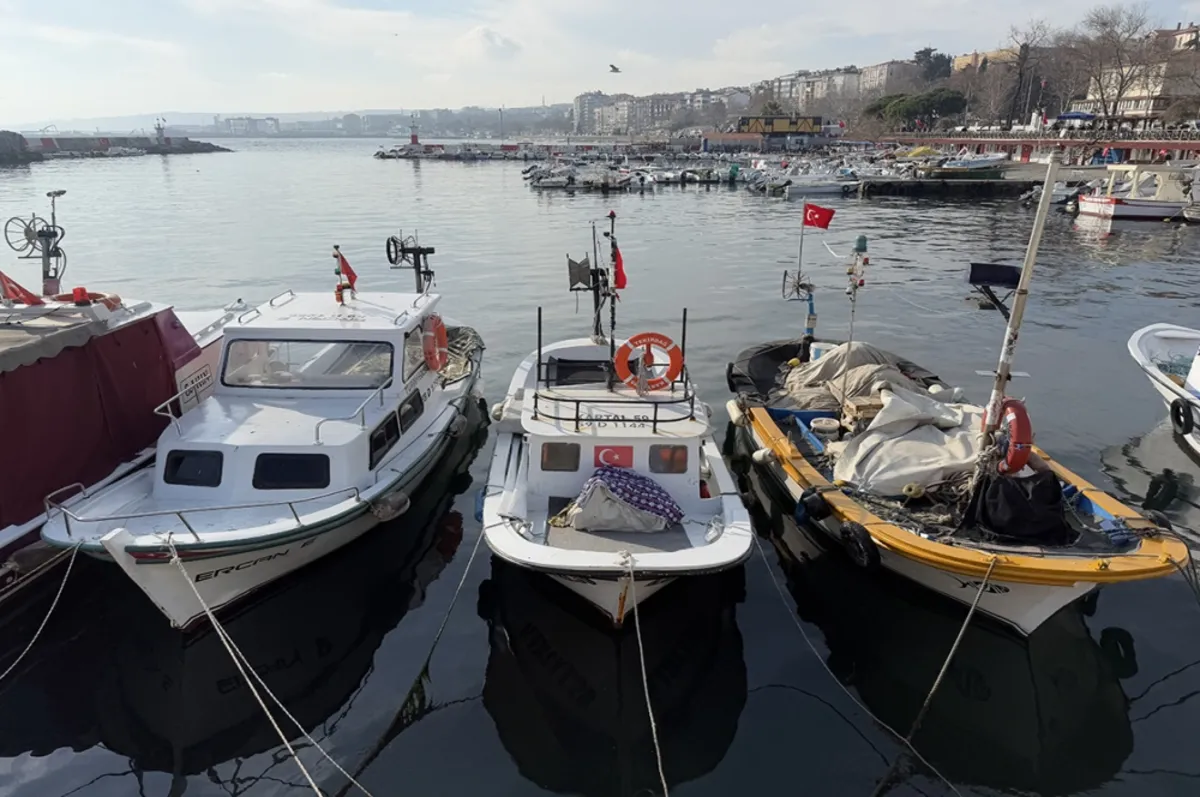 Tekirdağlı balıkçılar yeni yılda hamsi ve çinekoptan umutlu