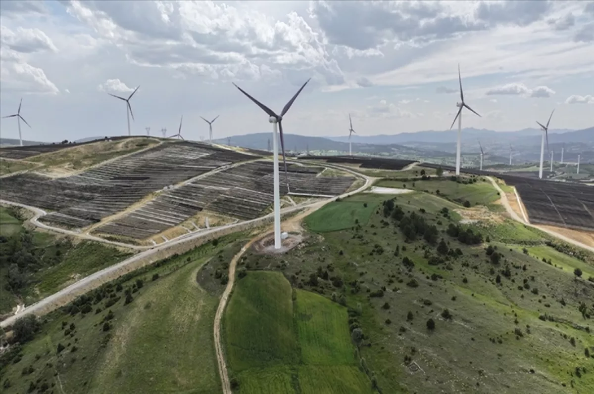 Rüzgar enerjisi, kesintisiz elektrik sağlamada yerli kömürün yerini alabilir