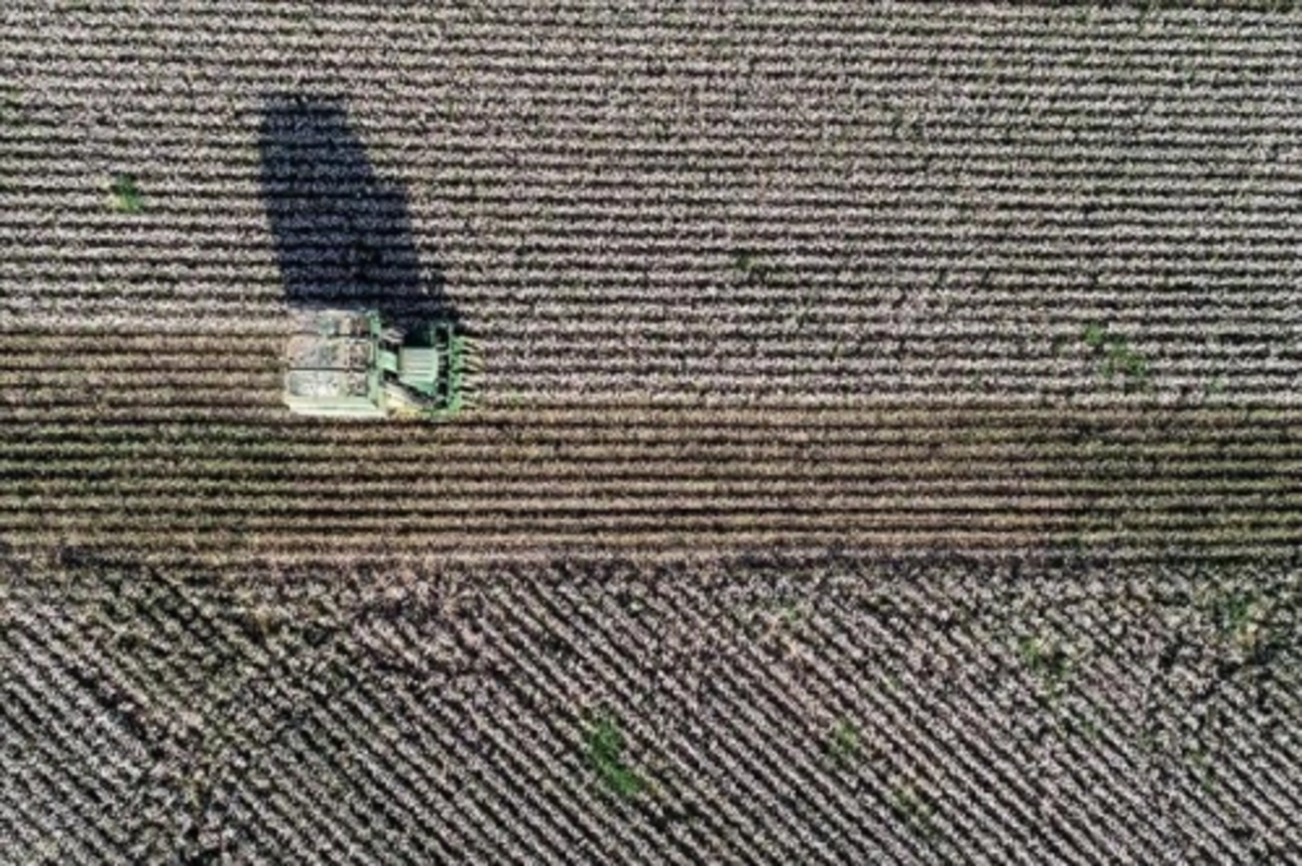 Dijital takiple pamukta giderler azaldı, verim arttı