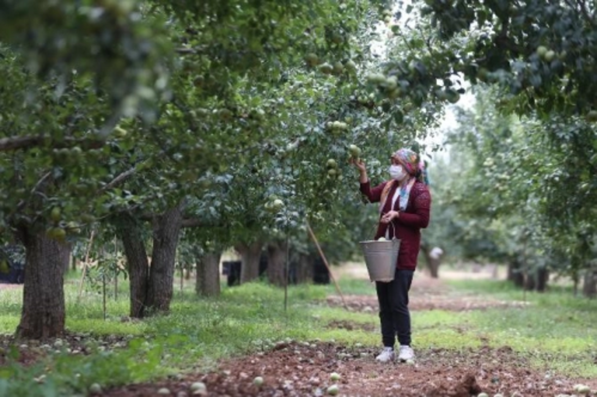 Tarıma dayalı ihtisas OSB'lerin kurulması kolaylaştırıldı