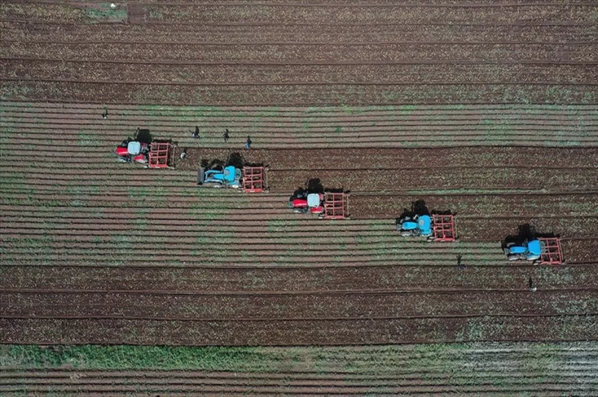 Tarımsal girdi fiyat endeksi, şubatta aylık yüzde 1.22, yıllık yüzde 69.99 arttı