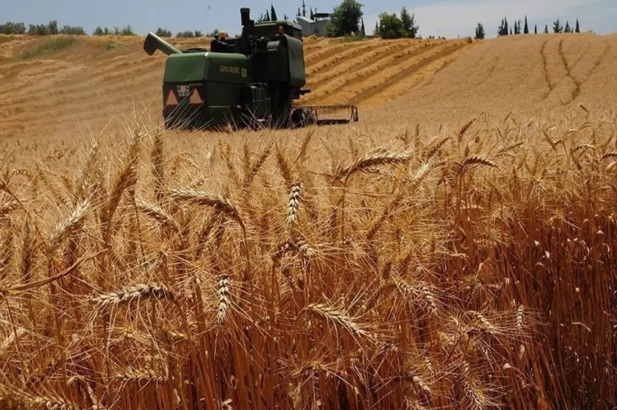 TARSİM'den geçen yıl 17.2 milyar lira prim desteği ve hasar tazminatı ödendi