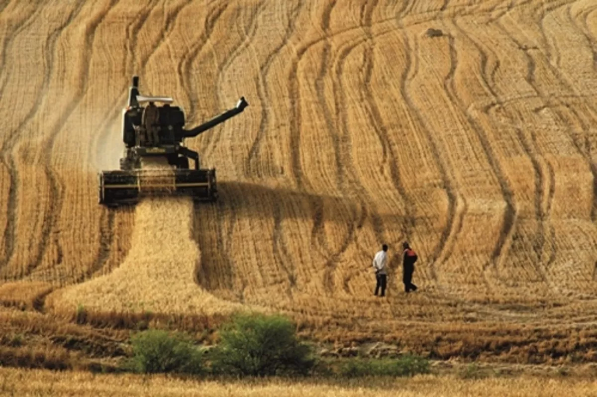 Kırsal kalkınma için 1.2 milyar liralık yeni hibe çağrısı