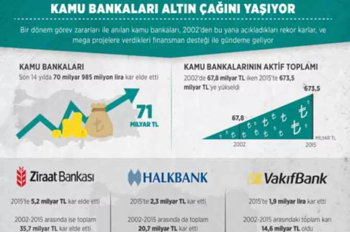 Kamu bankaları altın çağında