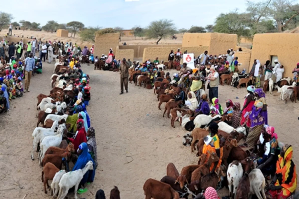 12 yıldır Afrika’ya uzanan ‘gönüllü’ el