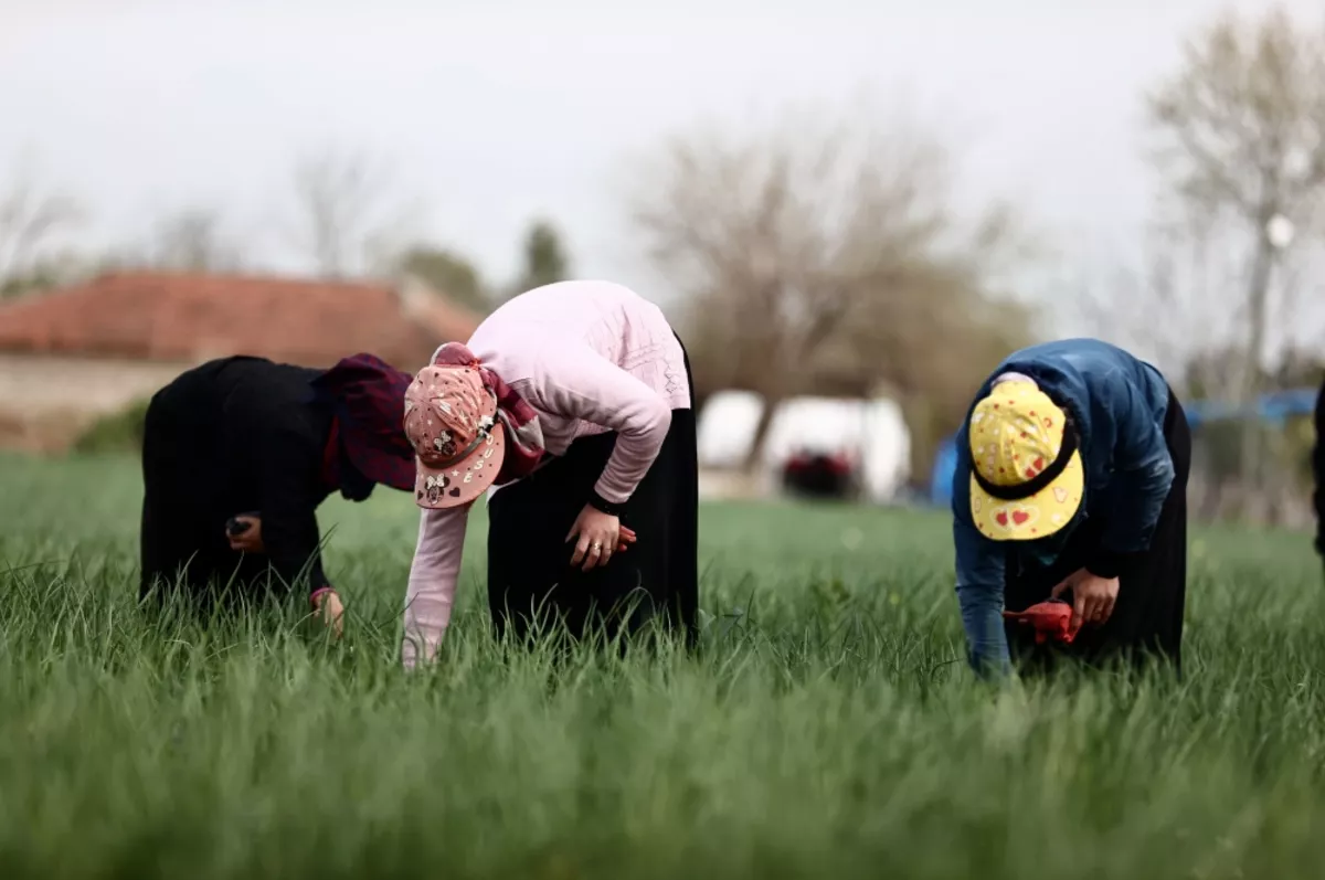 Tarımda planlı üretim başlıyor