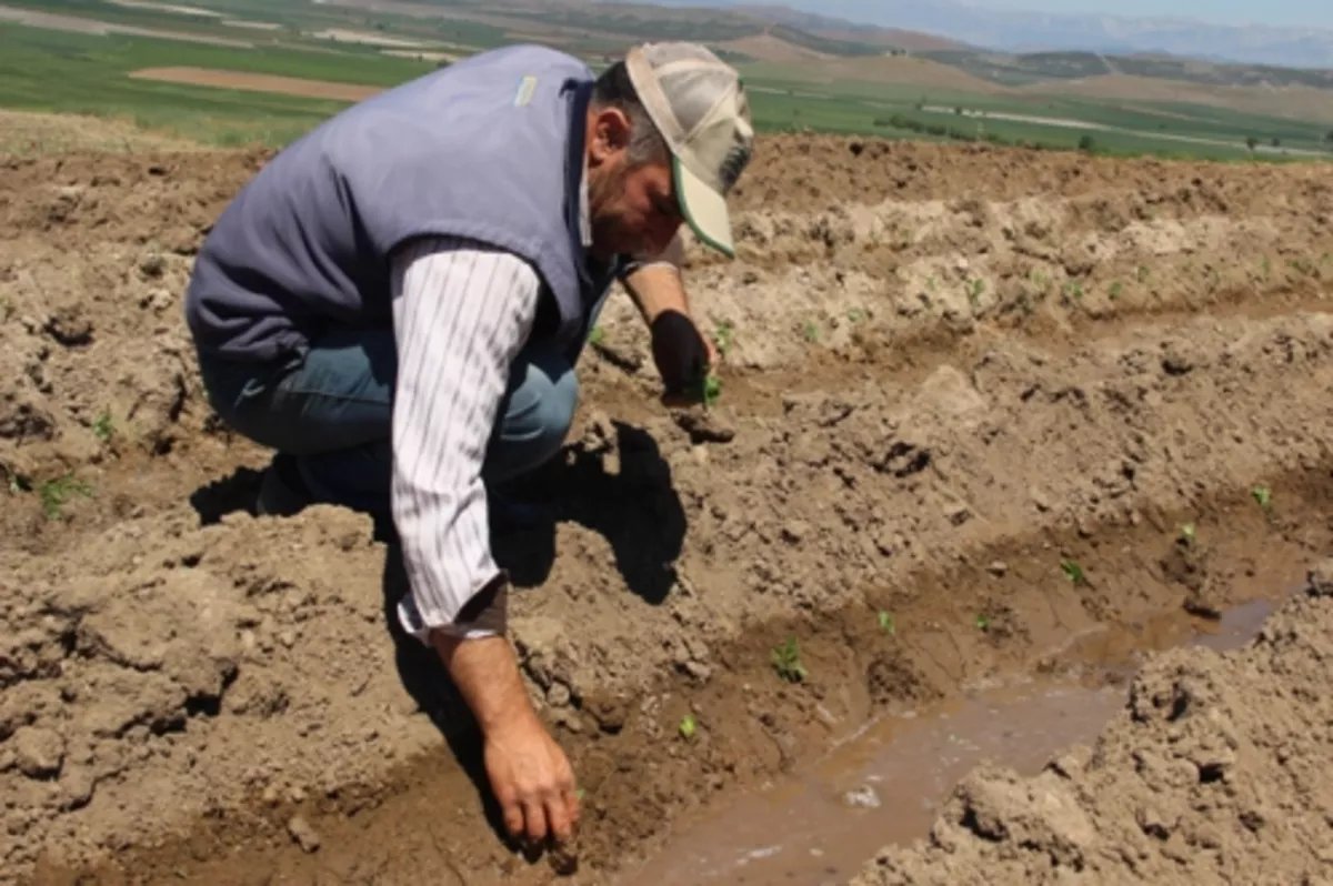 Tarımdaki risklere karşı küresel işbirliği şart