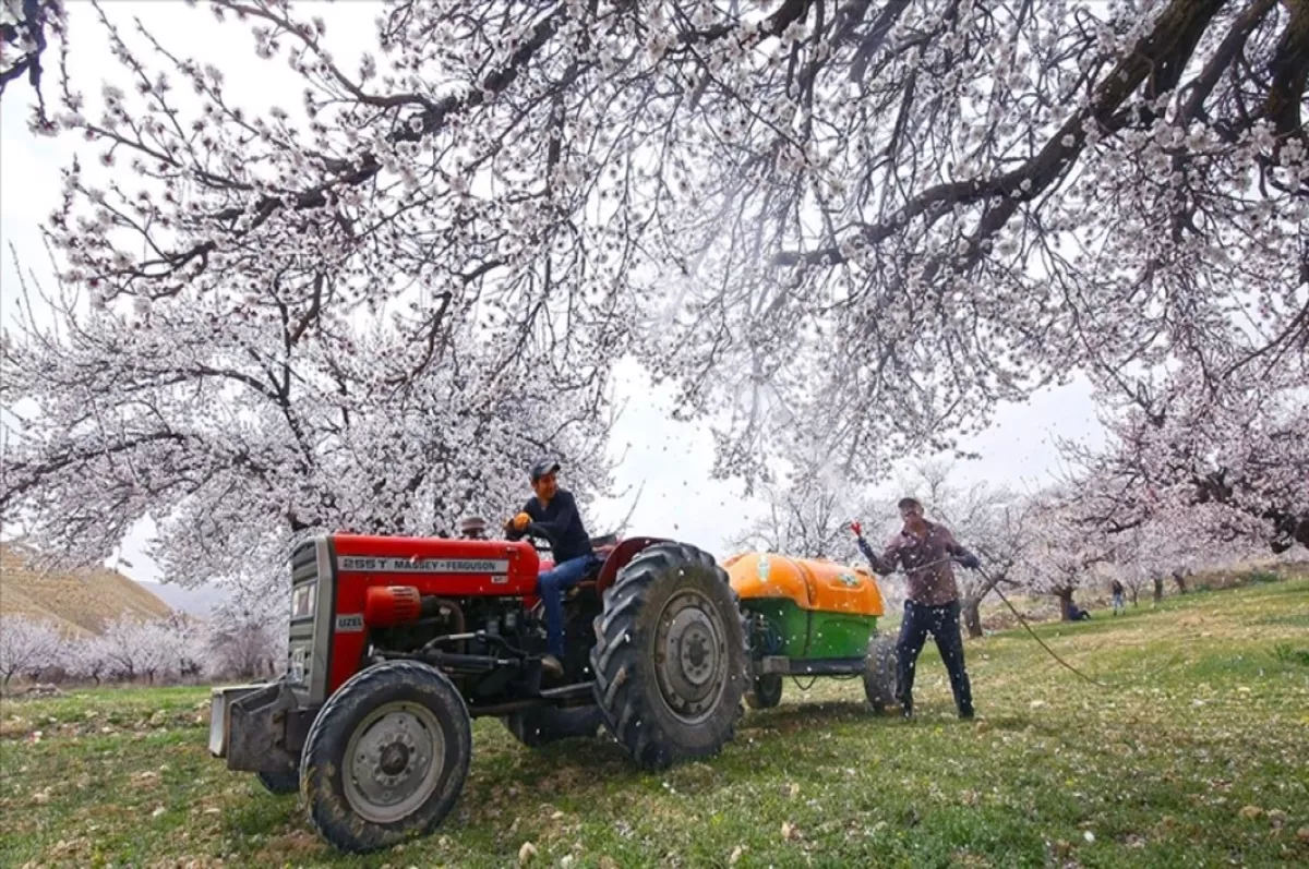 Bitki karantinası tazminat destekleri belli oldu