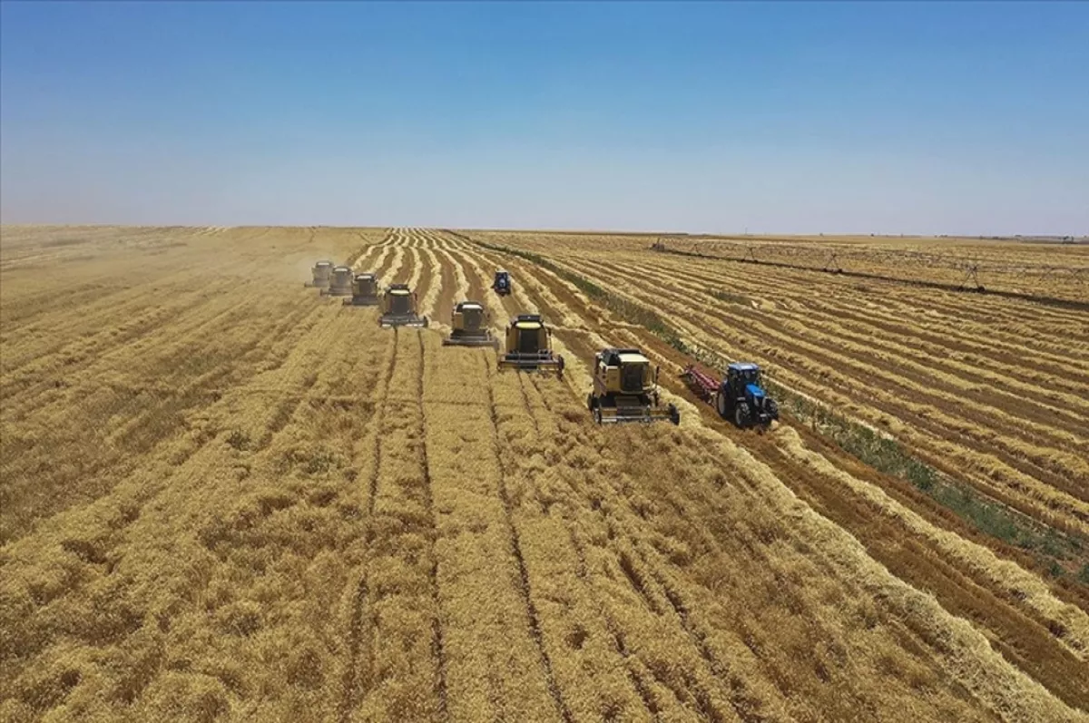 Tarım ÜFE temmuzda aylık bazda yüzde 1.74 azalış gösterdi