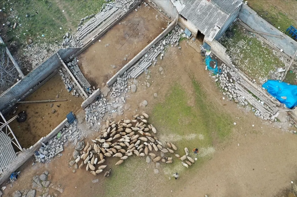 TARSİM deprem bölgesinde 26 milyon TL hasar ödemesi yaptı