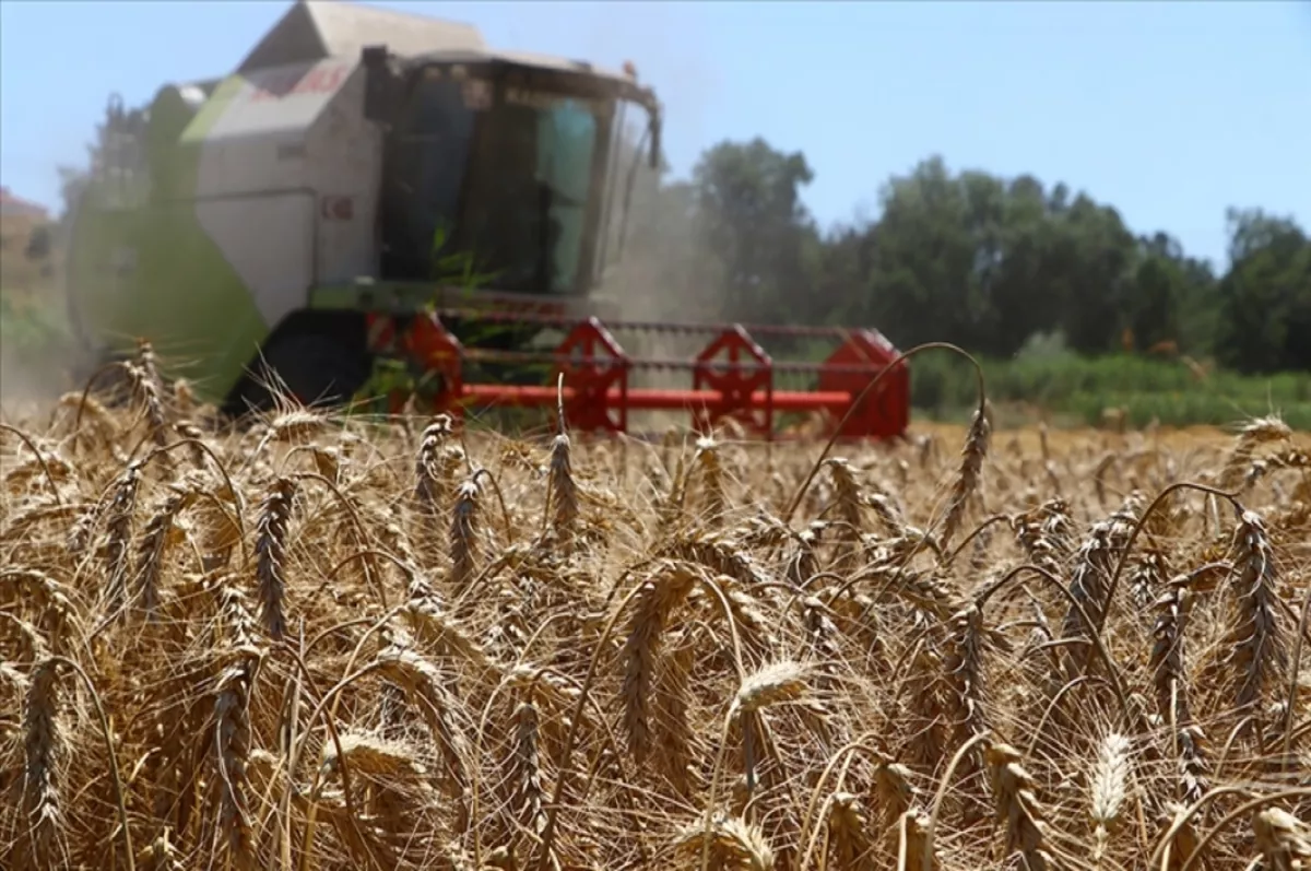 Yozgat'ta TMO'ya 800 bin ton arpa ve buğday teslim edildi