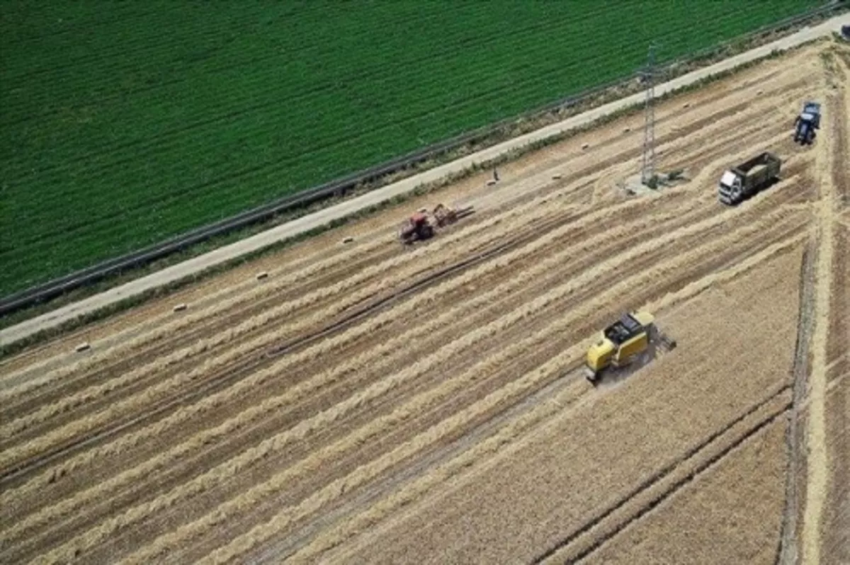 Üreticilere yaklaşık 420,5 milyon liralık destek ödemeleri başladı