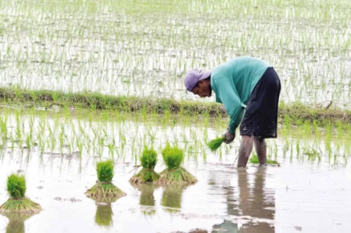 Emtiada El Nino fırtınası