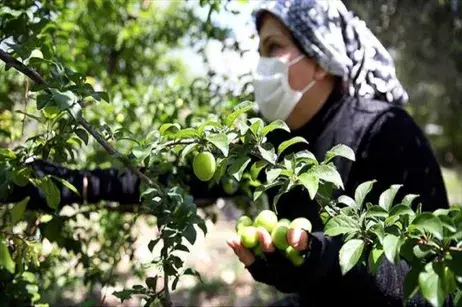 Ito Haber Gündem Haberleri