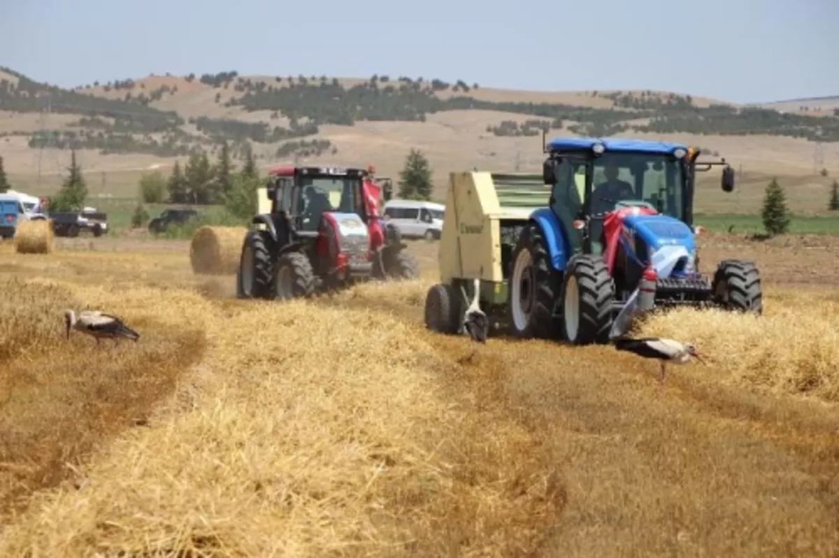 Tarımsal girdi fiyat endeksi mayısta yıllık bazda yüzde 24,43, aylık yüzde 2,49 arttı