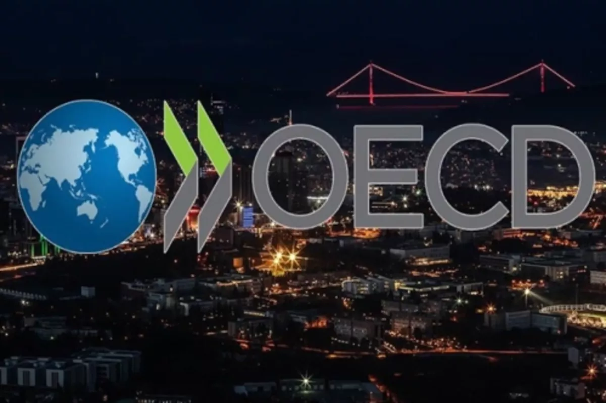 OECD İstanbul merkezi yılsonuna kadar açılacak