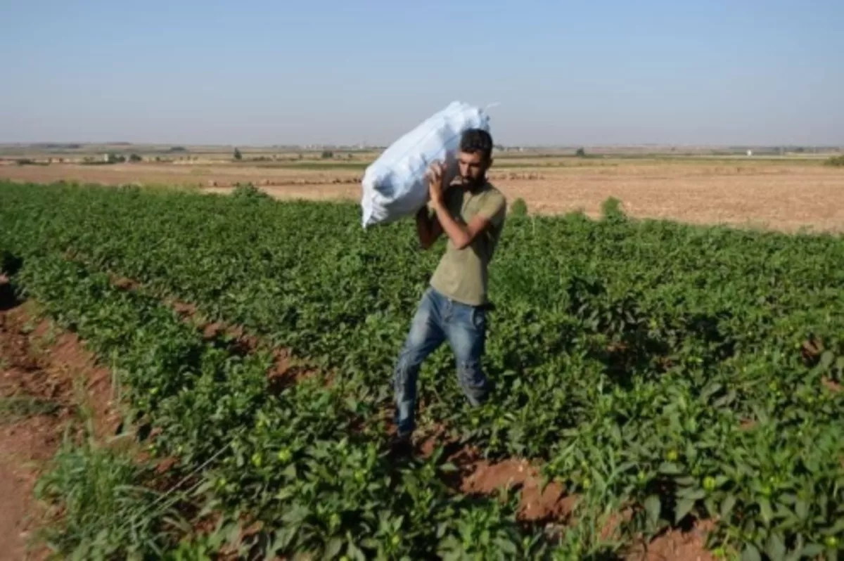 Ferdi, kooperatif ve kooperatif üst kuruluşları kredilerinden faiz alınmayacak