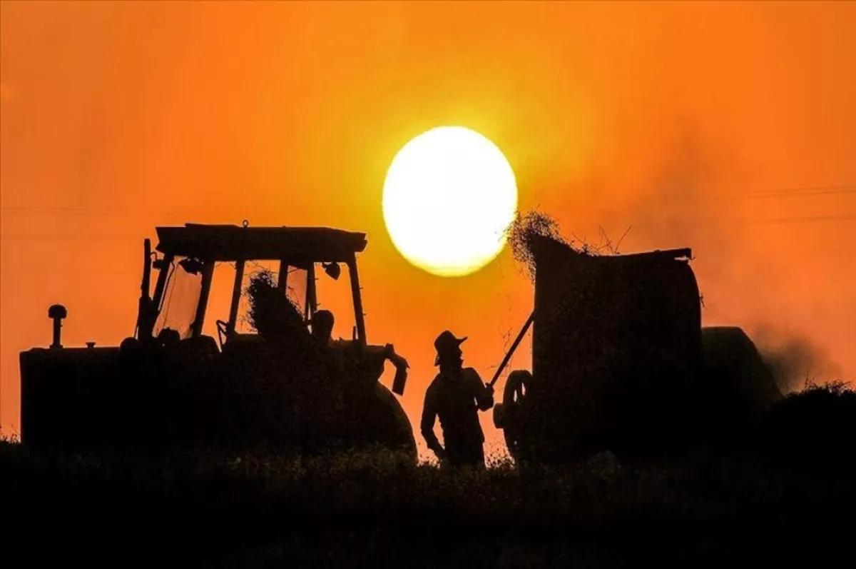 Bakan Yumaklı: Çiftçilere bugün 124 milyon liralık destekleme ödemesi yapılacak