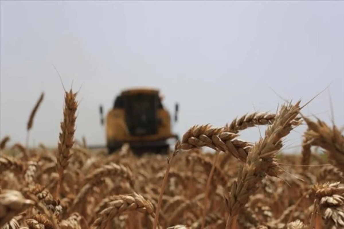 FAO, Türkiye'nin tarımsal gıda tedarik zincirinde maliyet ve fiyat takibi projesi başlattı