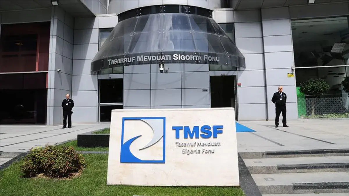 TMSF, 2 enerji şirketindeki paylarını satışa çıkardı