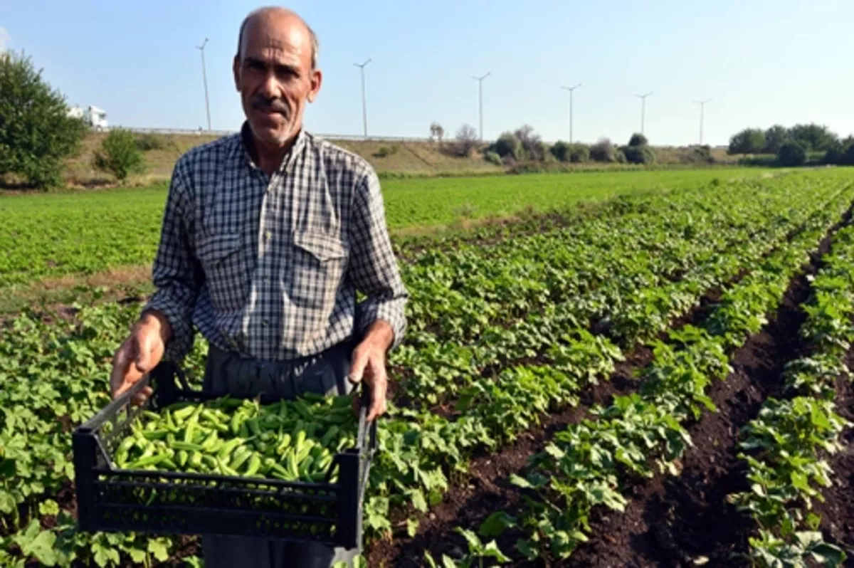 Tarım için şura düzenlemesi