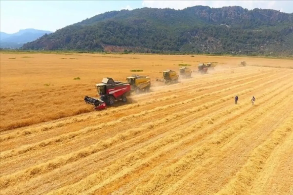 Küresel tarımsal emtia fiyatları bu yıl yüksek seyredecek